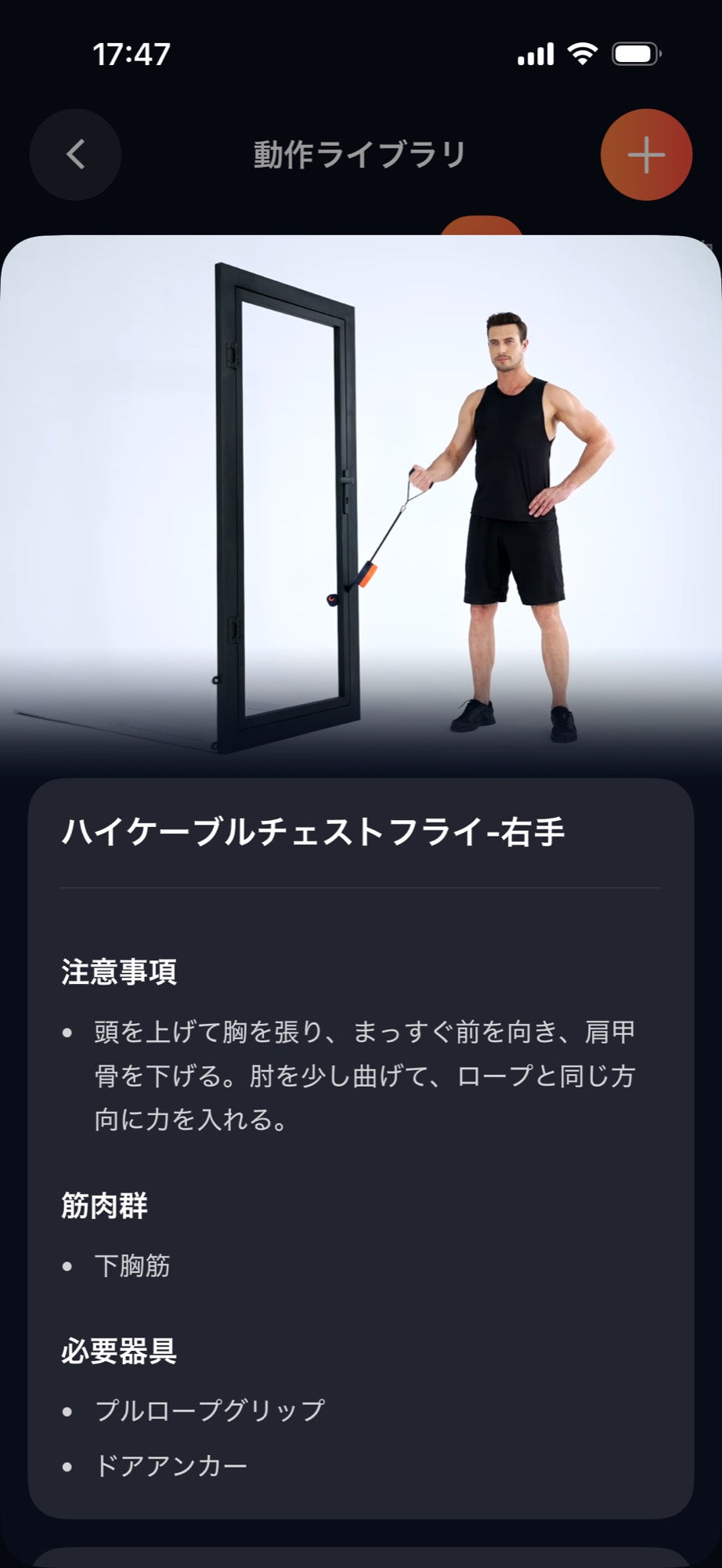 動作ライブラリ：チェストフライ